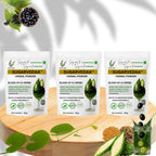 SUGARVEDAA HERBAL POWDER (SUPER SAVER PACK)